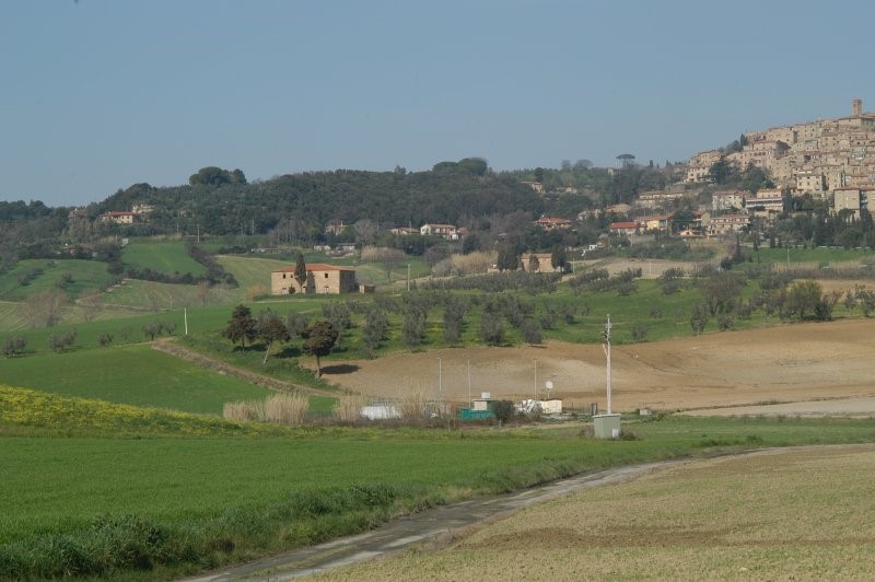 BIBBONA CAMPAGNA